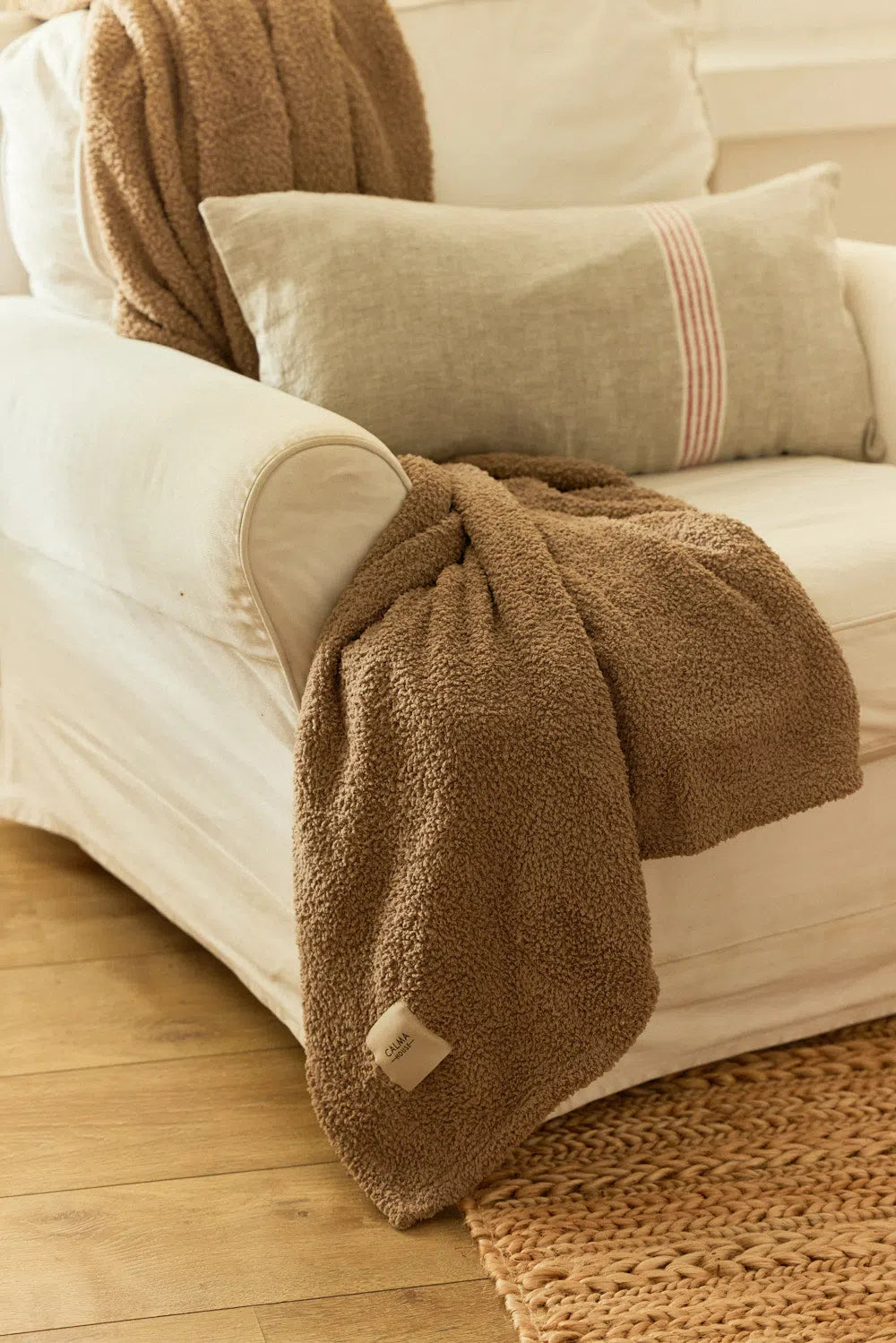 Couverture COCO - Mobilicious