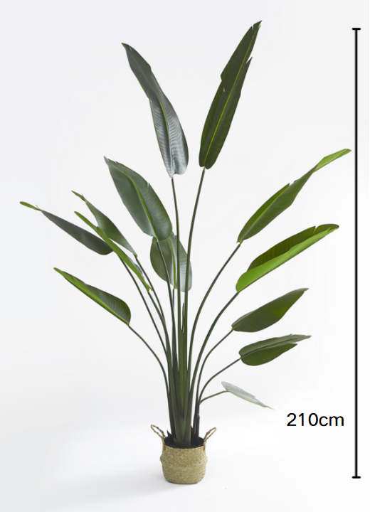 Strelitzia artificiel