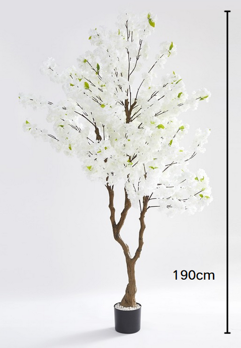 #Couleur_blanc