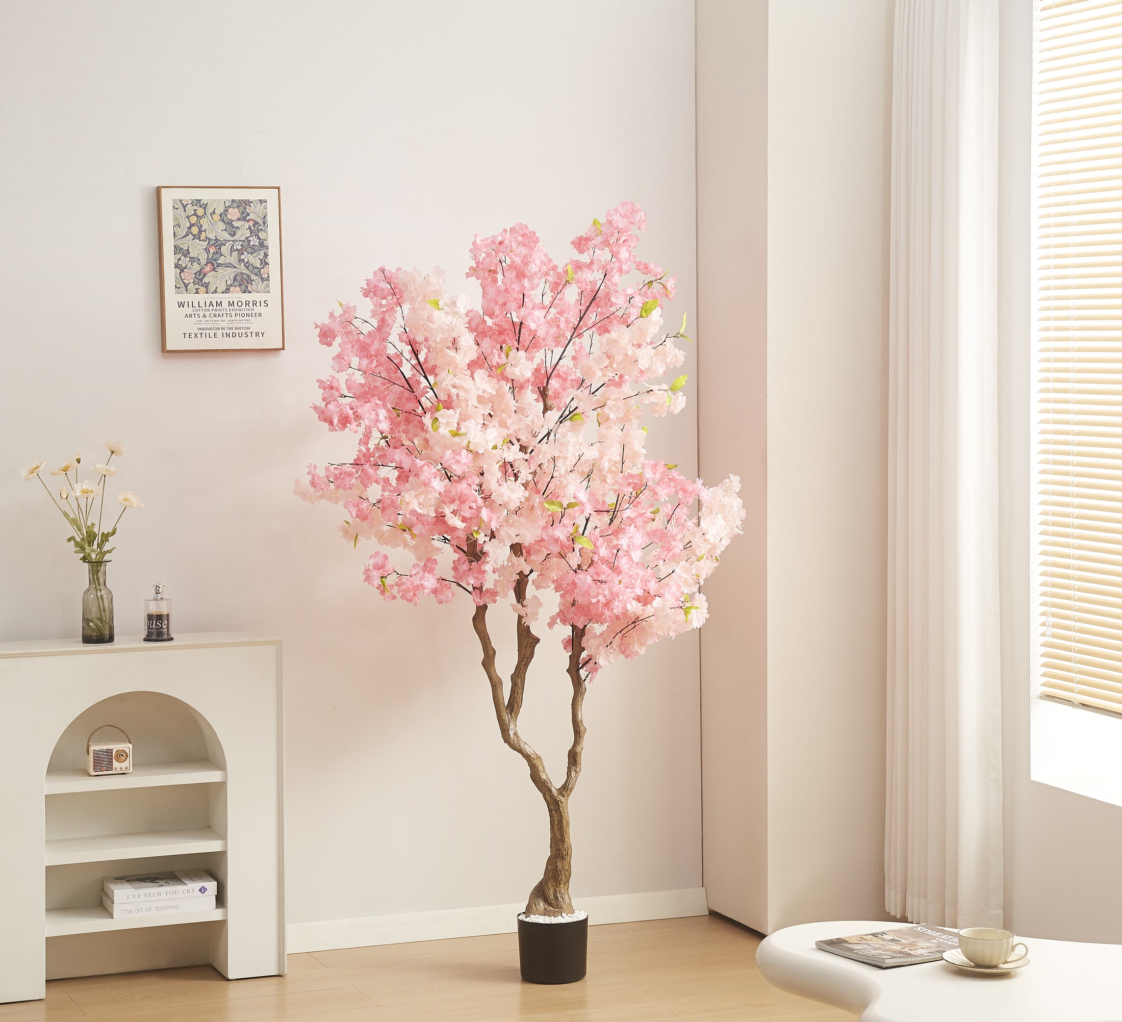 Plantes