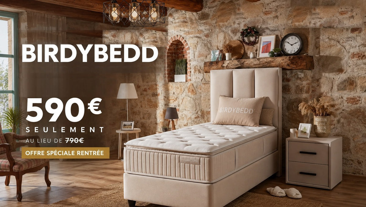 Lit coffre BIRDYBEDD avec matelas à 590 € au lieu de 790 € — offre spéciale rentrée Mobilicious